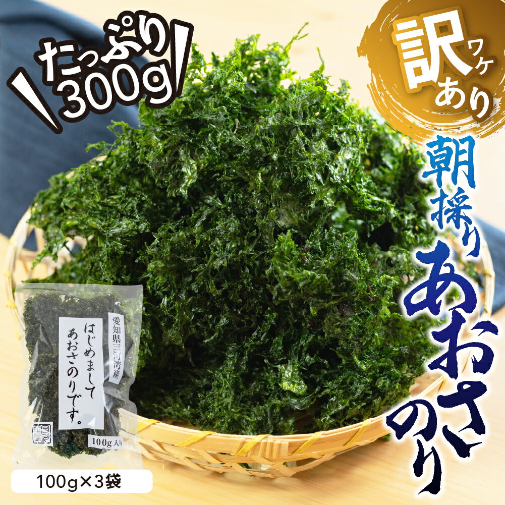 【ふるさと納税】【年内配送】訳あり あおさ 300g ＼大満足の★5／ 100g×3袋 簡易包装 愛知県 三河湾産 「はじめまして あおさのり です。」あおさ海苔 海苔 味噌汁 みそ汁 具 海藻類 アオサ 訳アリ 大容量 送料無料 国産 食品 田原市 人気 年内発送 年末発送 年末配送