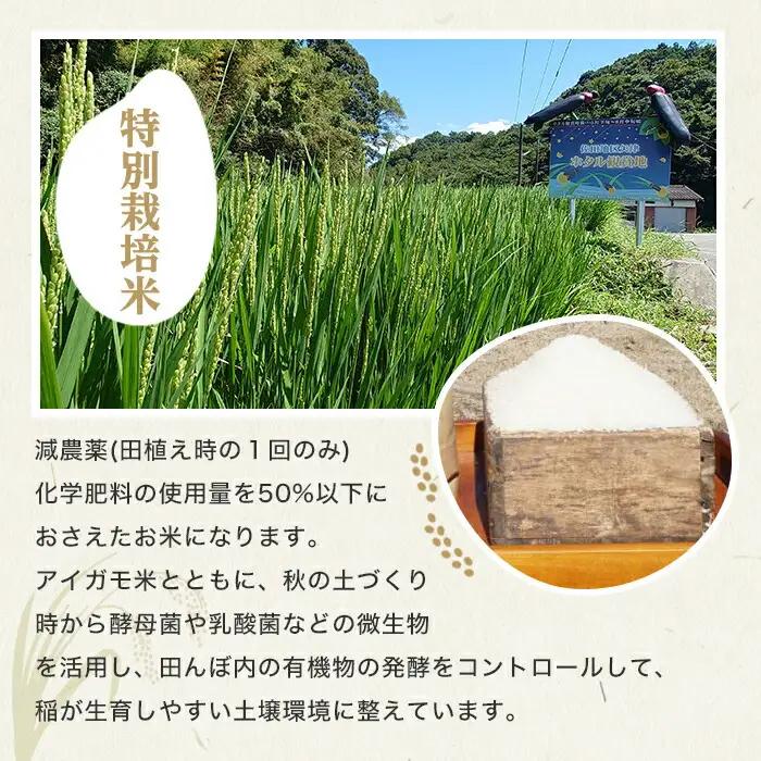 ＜令和7年産＞佐田の郷の米 特別栽培米(2.5kg)お米 白米 ごはん ヒノヒカリ ひのひかり ブランド米 常温 常温保存【111701100】【雅設置プロジェクト　佐田の郷の会】