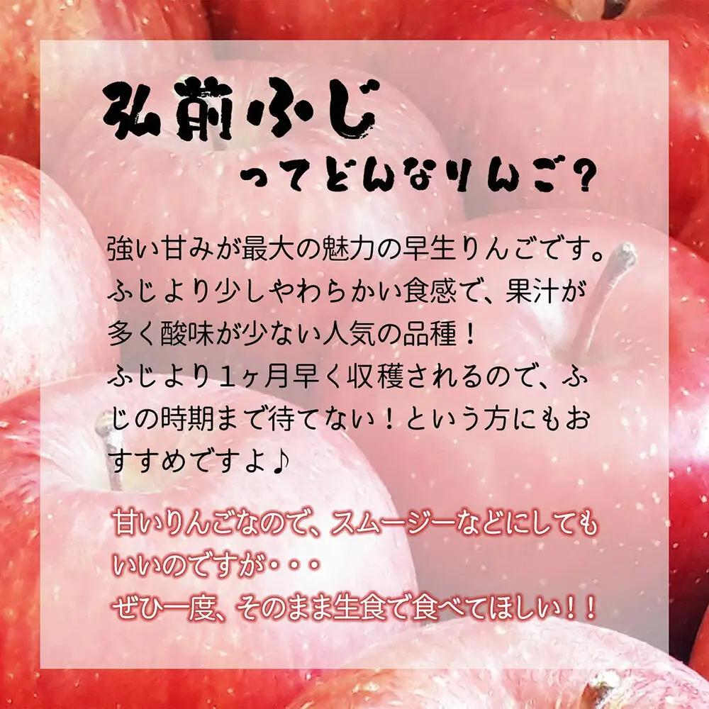 【26年10月中旬～発送】りんご 弘前ふじ【贈答用】約5kg 青森県 弘前市