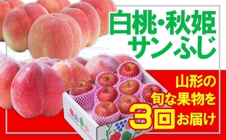 
            【定期便3回】☆フルーツ王国山形☆白桃・すもも秋姫・りんご FY25-054
          