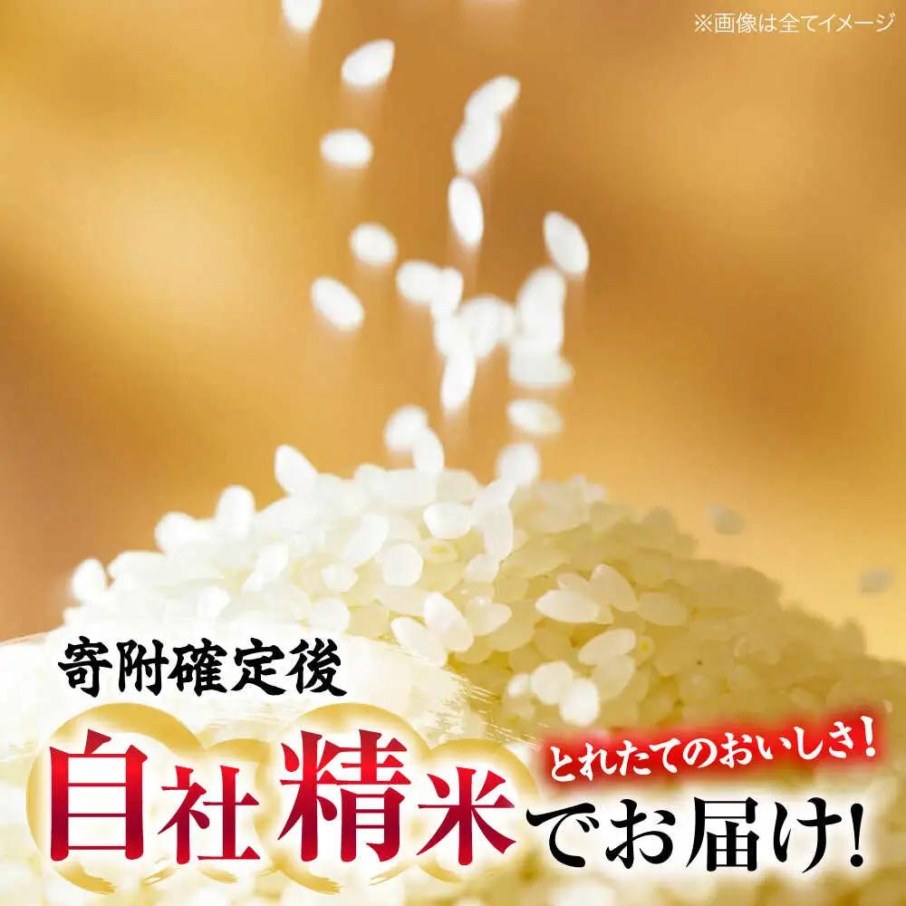 【 米 】あきろまん 精米 10kg〔5kg×2袋〕 [APBM009]
