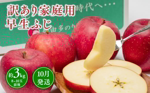 10月発送 【訳あり】家庭用早生ふじ 約3kg 【那由多のりんご園・平川市産】