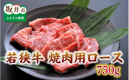 
とろける若狭牛ロース 750g 【焼肉・ステーキ用】 [E-2102]
