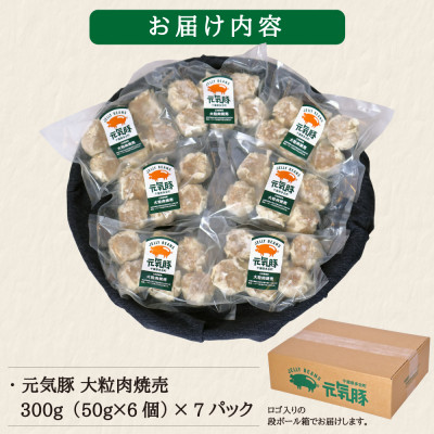 【毎月定期便】元気豚 大粒肉焼売セット 42個セット(計2.1kg)全6回【配送不可地域：離島・沖縄県】【4055282】