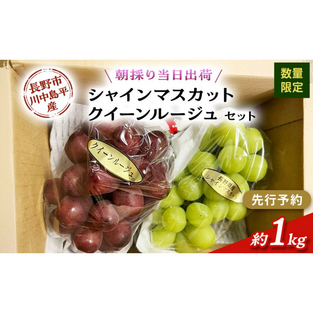 【ふるさと納税】【セット】シャインマスカット、クイーンルージュセット　約1kg（2房）