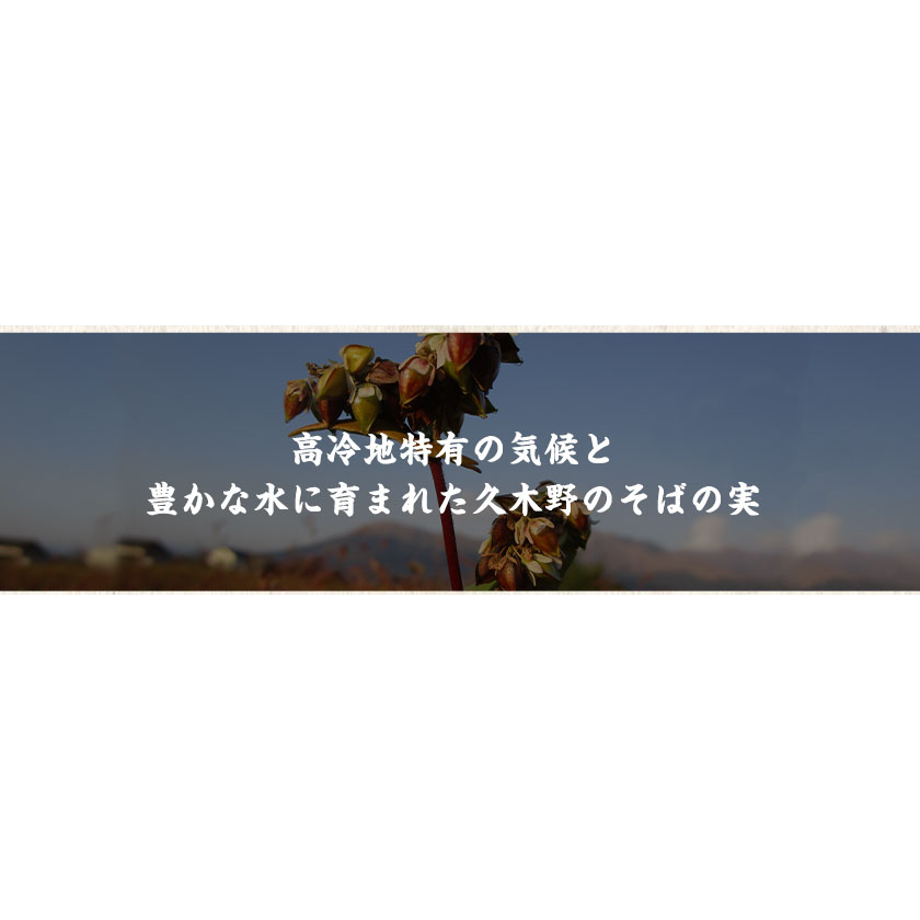 自然豊かな南阿蘇の粗挽きそば 10袋 あそ望の郷くぎの そば道場《90日以内に出荷予定(土日祝除く)》 熊本県南阿蘇村 蕎麦---sms_sdosoba_90d_22_17000_10i---