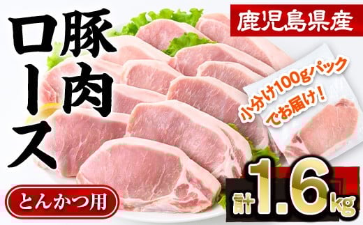 
            鹿児島県産豚肉ロースとんかつ(計1.6kg・100g×16P) 豚肉 ロース とんかつ【株式会社羽根】A722
          