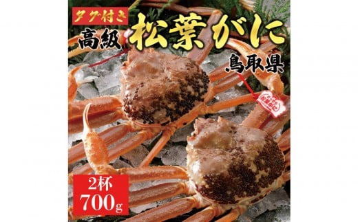 【2025年11月発送】特撰 松葉がに（なま）【ブランドタグ付き】700g超のサイズ  2杯