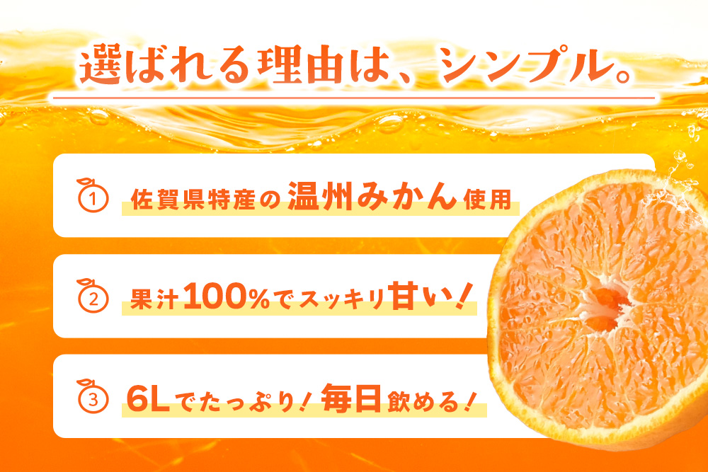 みかん100 1L×6本入り【みかんジュース 蓋付 天然 果汁100％】(H116228)