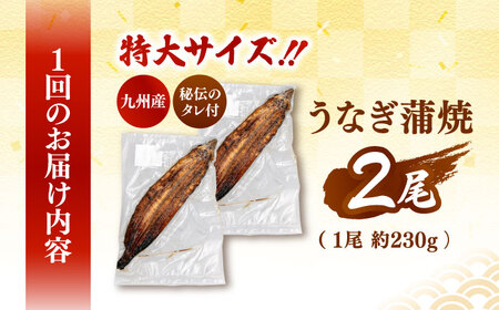 全3回定期便 鹿児島産うなぎ 蒲焼2尾セット 桂川町/山水商事 [ADAH012]うなぎ 鰻 ウナギ うなぎ 鰻 ウナギ うなぎ 鰻 ウナギ うなぎ 鰻 ウナギ うなぎ 鰻 ウナギ うなぎ 鰻 ウナギ