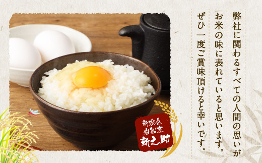 【新米受付・令和8年産米】 【定期便 6ヶ月】新潟県村上市岩船産　新之助　精米6kg（2kg×3個セット）×6ヶ月 1050015N