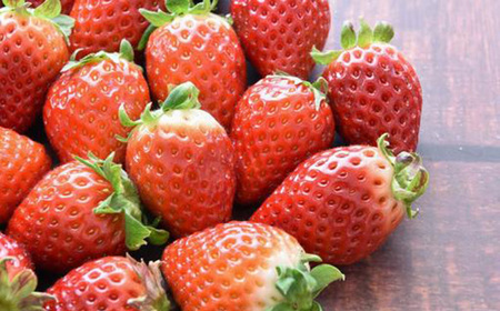 No.348 【先行予約】シャインマスカット1房といちごDX1パック【茨城県共通返礼品 かすみがうら市】