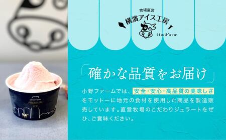 牧場直送ご当地アイスセット（5種10個入）〈小野ファーム〉 ABN0002