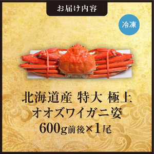 北海道産特大極上オオズワイガニ姿　600g前後×1尾