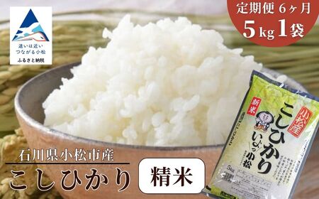 【先行予約】【定期便】 令和8年産 小松市産こしひかり 精米 5kg×6ヶ月（毎月）【JA小松市】