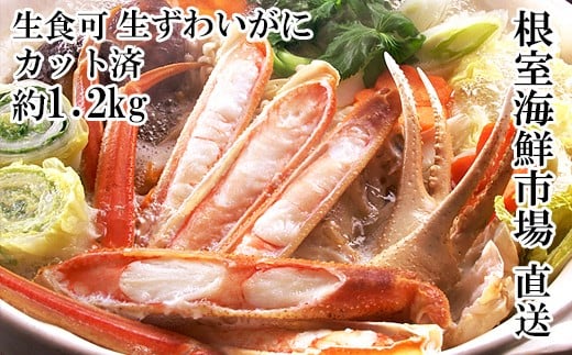B-28100  根室海鮮市場＜直送＞生食可！カット済み生ずわいがに約1.2kg(お刺身・焼きガニ・カニ鍋等)