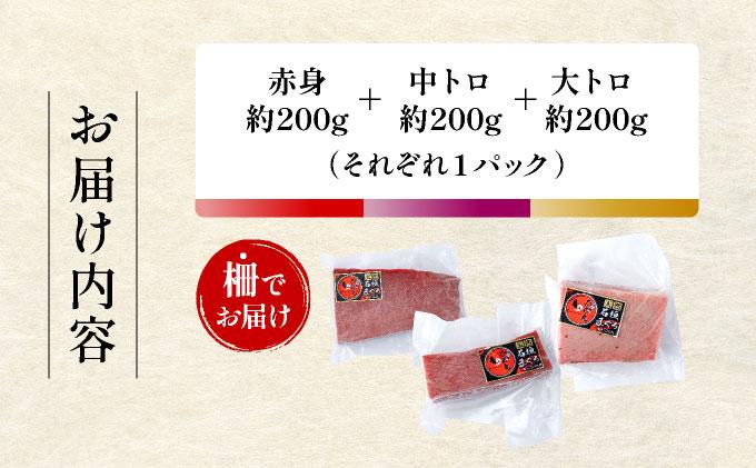 【数量限定】石垣島産 天然本マグロ600g (まぐろ赤身・中トロ・大トロのミックスセット) ヤエスイ マグロ船直送【順次発送】 | 産地直送 大トロ 大とろ 中トロ 中とろ 国産 まぐろ 鮪 天然 赤