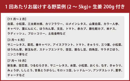 【定期便3回】旬の野菜の詰め合わせと栽培期間中農薬不使用の生姜200g付き 詰め合わせ 野菜セット 野菜 ギフト やさいセット お取り寄せグルメ 家庭用 旬野菜 新鮮 特産 農薬不要 食材