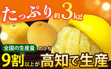 【先行予約】南国高知温室土佐文旦 約3kg 5玉〈2025年11月中旬～2026年2月中旬頃発送〉/ 文旦 ぶんたん フルーツ 果物 3キロ 高知県〈2024年11月から発送〉 【フルーツショップオザ