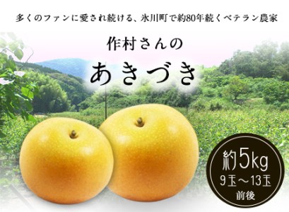 作村果樹園 あきづき梨 約5kg(9～13玉前後) 氷川町産《8月中旬-9月末頃出荷》梨梨なし