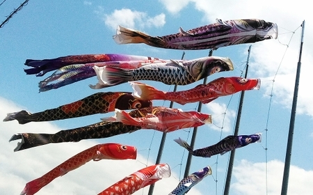 鯉のぼり（制覇3ｍ6点セット） 鯉のぼり セット 端午の節句 子供 お祝い 特別 福岡県 柳川市