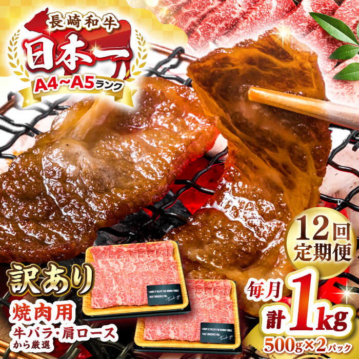 【ふるさと納税】【全12回定期便】【訳あり】【A4〜A5ランク】長崎和牛 焼肉切り落とし 1kg（500g×2パック）(肩ロース・バラ）《壱岐市》【株式会社MEAT PLUS】 肉 牛肉 黒毛和牛 焼き肉 焼肉 焼肉用 ギフト 贈答用 冷凍配送 A4 A5[JGH122]
