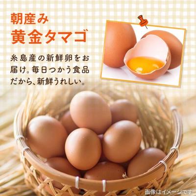 ふるさと納税 糸島市 【全12回定期便】糸島の朝産み黄金タマゴ10個 朝どれ新鮮野菜5品セット 糸島産 [AGE049] |  | 02