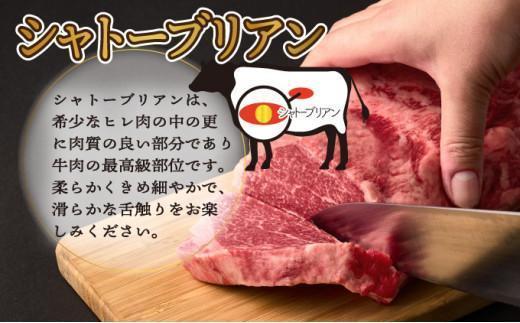 《2026年5月発送》シャトーブリアンブロック 1kg