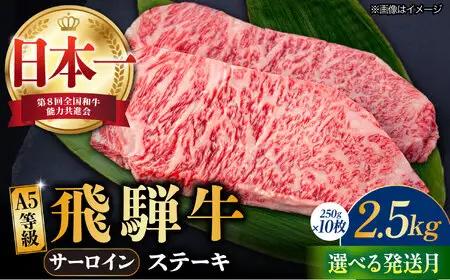 【1月発送】【飛騨牛】 A5等級 サーロイン ステーキ用 10枚 (計2.5kg) 和牛 ブランド牛 国産 牛肉 多治見市 / 渡辺精肉店 [TAZ003-1]