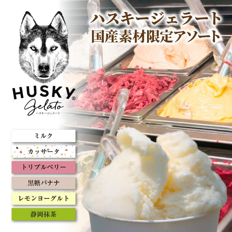 【ふるさと納税】ハスキージェラート 国産素材アソート ハスキー ジェラート アイス アイスクリーム 国産 日本産 素材の味 ミルク 静岡抹茶 カッサータ レモンヨーグルト トリプルベリー 黒糖バナナ お取り寄せグルメ ご当地 送料無料 新潟県 新潟市