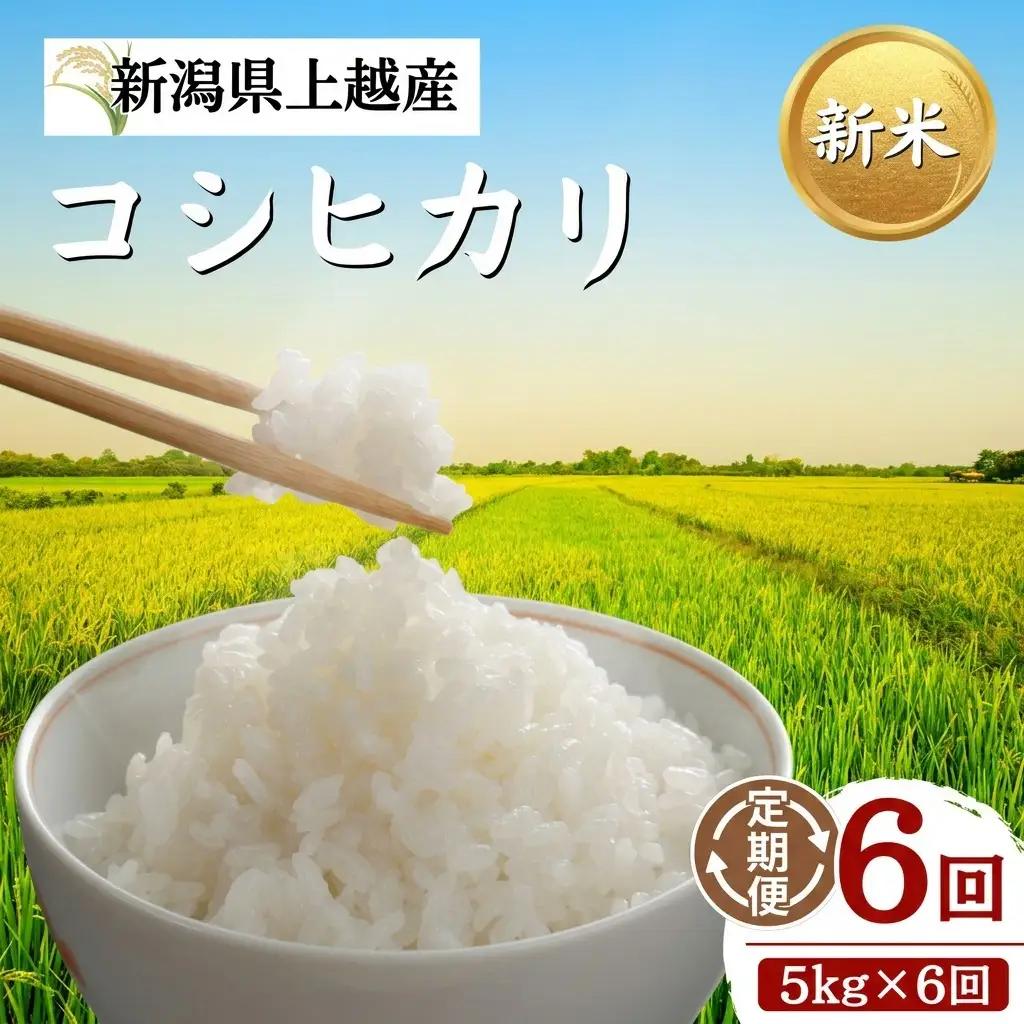 【6回定期便】新米予約 コシヒカリ 5kg 30㎏ コシヒカリ 新潟県