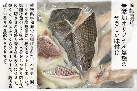 ＜漁師直送 無添加 夏の塩麹 160g×3種セット＞ 魚 詰め合わせ 海鮮 海産物 海鮮セット ハマチ 鯛 イサキ 焼くだけ 簡単調理 処理済み 明浜産 二ノ宮商事株式会社 愛媛県 西予市【冷凍】『2