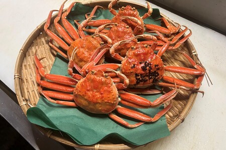 間人漁港仲買人の丸友鮮魚三代目・自慢の間人産セコガニ≪茹で≫10匹セット（1匹130g以上）