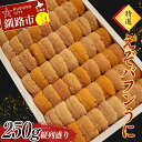 【ふるさと納税】高級・特選縦列盛えぞバフンうに250g ふるさと納税 うに 高級 ウニ 雲丹 エゾバフンウニ 大容量 贈答用 ギフト 北海道 釧路 F4F-3516