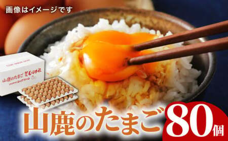 たまご 80個 約5kg【マツヤマエッグファーム】タマゴ 玉子 熊本県 卵 国産 新鮮 山鹿 [ZAW002]