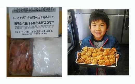 唐揚げ 6回 定期便 約 5kg × 6回 冷蔵 新鮮 鶏肉 唐揚げ 砂ずり ずり 柚子胡椒 味 柚子こしょう 味付け肉唐揚げ 味付け 鶏肉 肉 簡単調理 惣菜 おつまみ ごはん からあげ 唐揚げ  