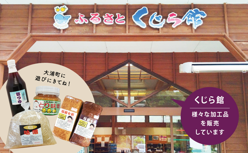 鹿児島の手作りめんつゆ [ ストレートタイプ ] 500ml×6本 【大浦町農産加工組合 】 麺 そうめん そば 蕎麦 うどん 天つゆ 煮物 ストレート 調味料 かつお節 鰹 昆布 だし 常温 加工食