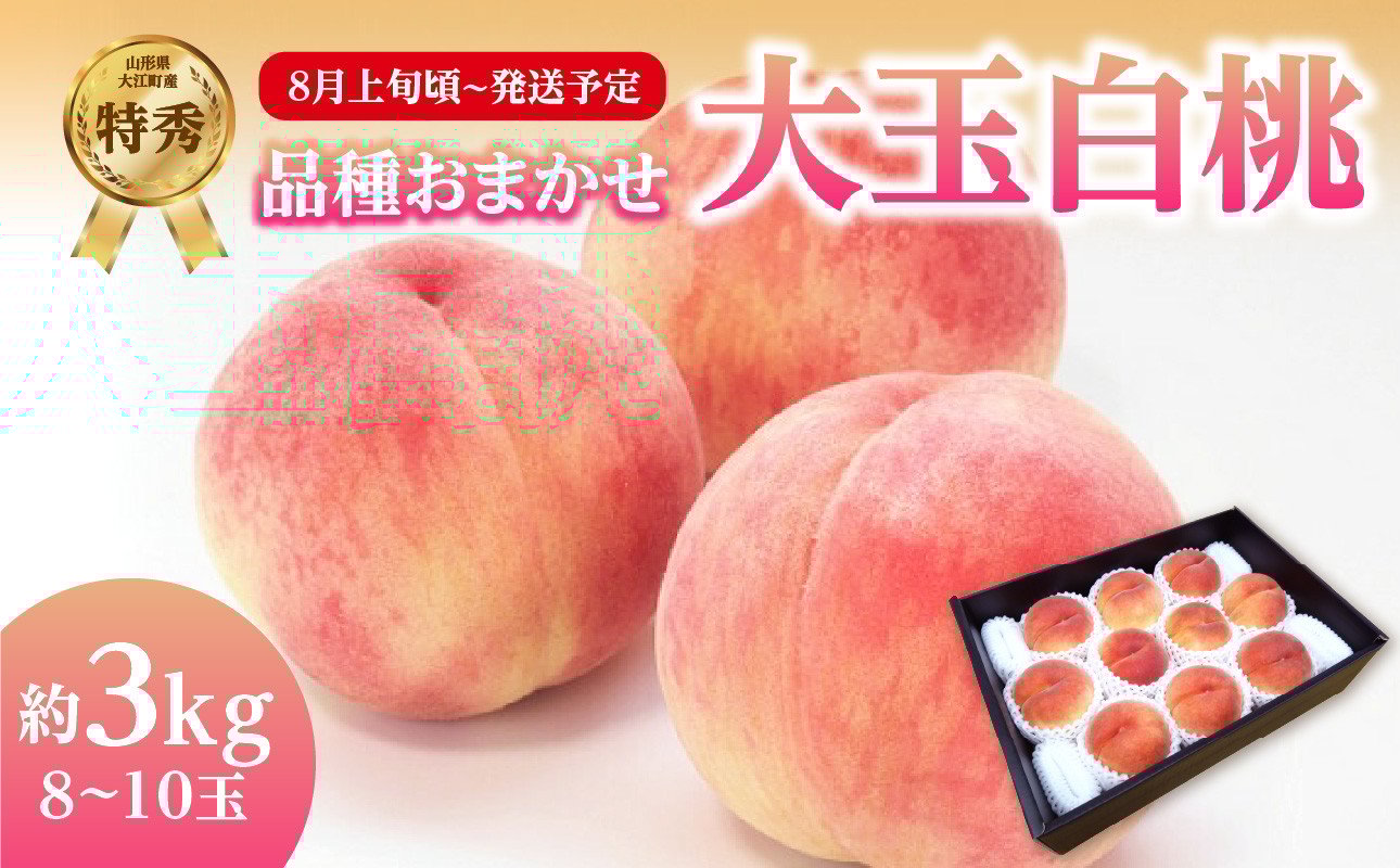 
            《先行受付》品種おまかせ 大玉白桃 約3kg【特秀】 （8～10玉）【2025年8月上旬頃～発送予定】 【001-100】
          