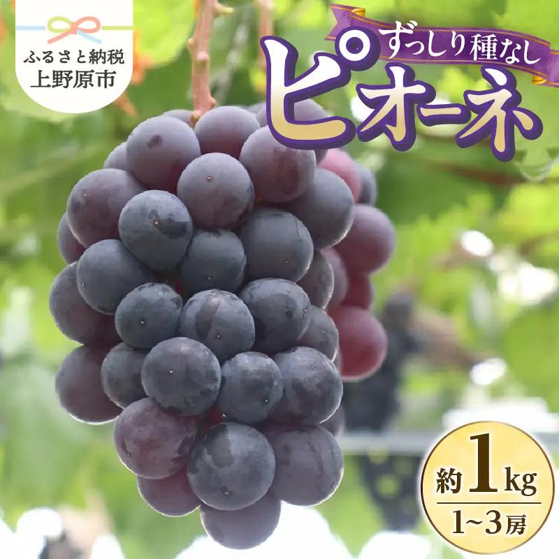 【山梨県山梨市産】ピオーネ 約1kg 種なしピオーネ ぶどう