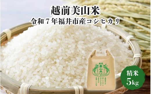 越前美山米　令和７年福井市産コシヒカリ　精米5kg [B-204001] / 新米 精米 米 お米 コメ 送料無料 コシヒカリ こしひかり 令和七年産 七年 7年 令和7年 福井県 福井市