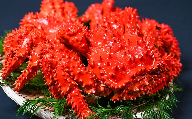 【北海道根室産】花咲がに500g前後×2尾セット B-80004