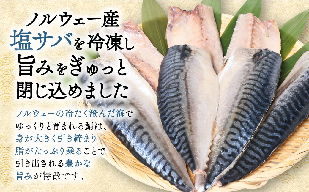 【訳あり】昆布塩サバ 合計約3.3kg 鯖 さば 真鯖 真サバ 真さば 鮮サバ 鮮さば 鮮鯖 鮮魚 冷凍 鯖の塩焼き 鯖の味噌煮 惣菜 お弁当 おつまみ
