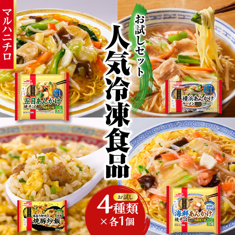 【ふるさと納税】マルハニチロ 冷凍食品 詰合せ4種類 お試しセット 山形県 大江町 冷凍 中華 お試し セット ラーメン 炒飯 チャーハン あんかけ 焼きそば レンチン 電子レンジ マルハニチロ 時短 料理