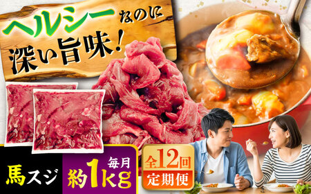 【全12回定期便】馬スジ 約1kg (約500g×2パック) / 馬肉 スジ 馬すじ 煮込み 煮物 カレー お肉 スジ肉 スジ すじ肉 料理用 馬 肉 熊本 すじ【五右衛門フーズ】[BHCY044]