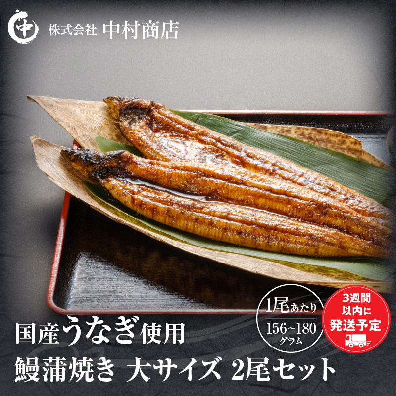 鰻蒲焼 大サイズ2尾セット_M069-008_03