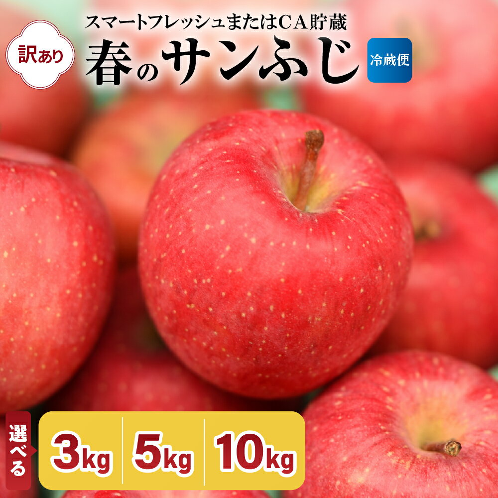 【ふるさと納税】 訳あり りんご 3kg 5kg 10kg 春 の サンふじ 送料無料 スマートフレッシュTM貯蔵 または CA貯蔵 リンゴ フルーツ 果物 【 発送時期が選べる 林檎 春にお届け】 青森県 五所川原市