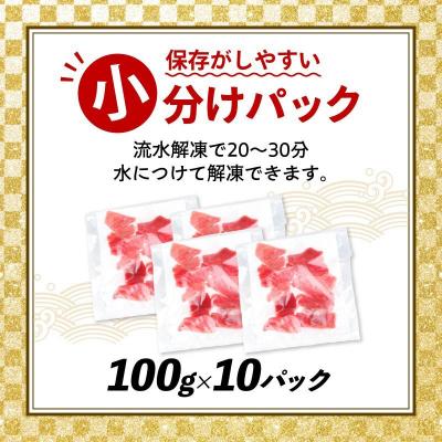 ふるさと納税 室戸市 高豊丸 天然本マグロ (赤身・中とろ) 切り落とし 100g×10パック 1kg |  | 03