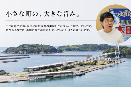 豪華サザエ・あわび詰合せ【本田商店】 海鮮 貝 ふるさと納税 サザエ ふるさと納税 あわび 鮑 詰め合わせ セット BBQ バーベキュー 【134】