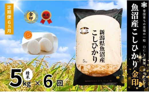 【定期便 6ヶ月】魚沼産コシヒカリ 高食味米 5kg(5kg×1袋)× 6回 令和7年産 金印 ( 一等米の中から厳選 ) |  新潟県産コシヒカリ お米 米 定期 こしひかり 白米 精米 ブランド米  新潟県 津南町 有限会社イタバ