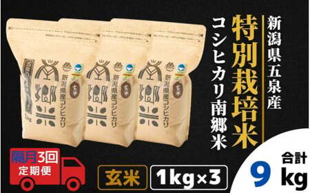 【令和6年産新米】〈隔月3回定期便〉特別栽培米コシヒカリ「南郷米」玄米3kg（1kg×3袋）［2024年9月中旬以降順次発送］ 有限会社ファームみなみの郷